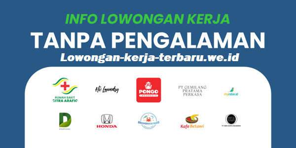 Nonpengalamankerjalogo